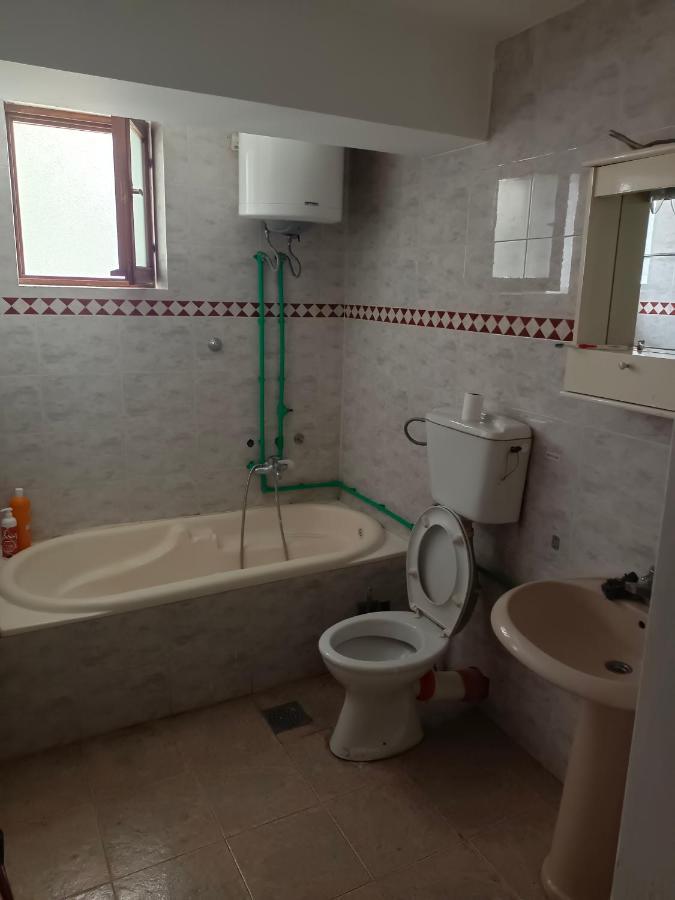 בלגרד Panda Victor Space Capsule Hostel-Neo Nomad מראה חיצוני תמונה