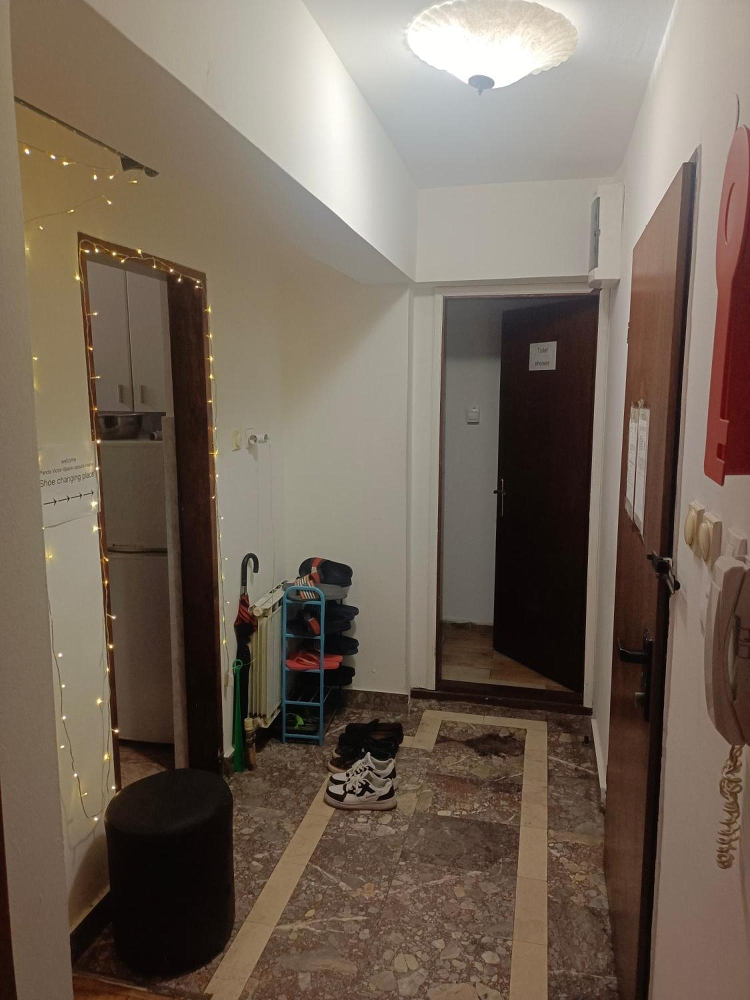 בלגרד Panda Victor Space Capsule Hostel-Neo Nomad מראה חיצוני תמונה