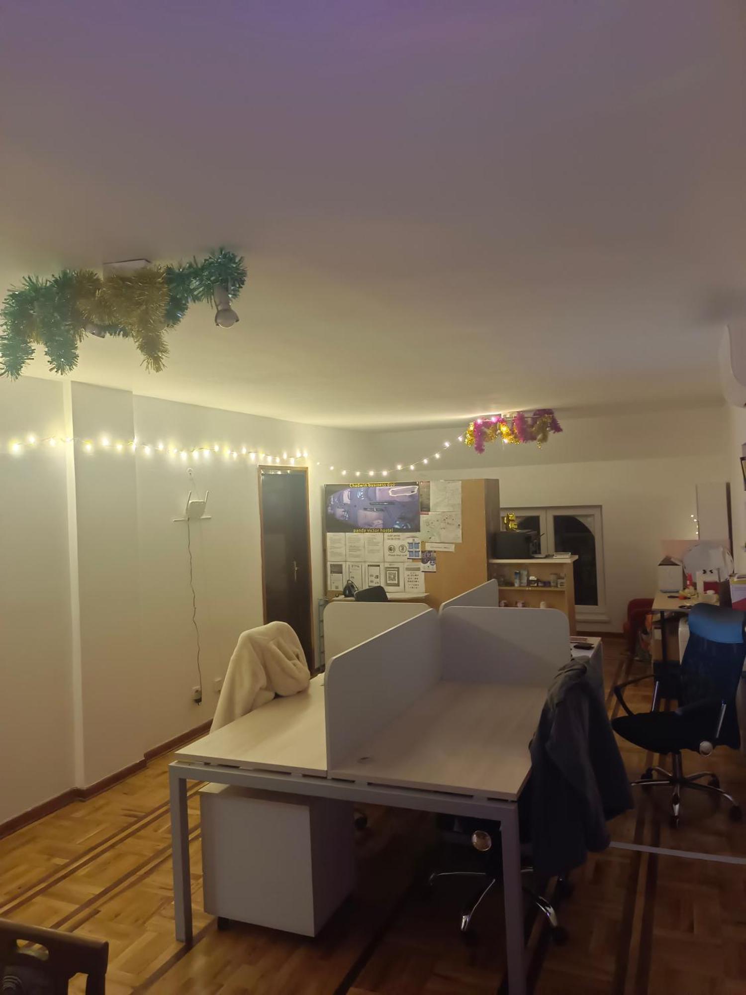 בלגרד Panda Victor Space Capsule Hostel-Neo Nomad מראה חיצוני תמונה